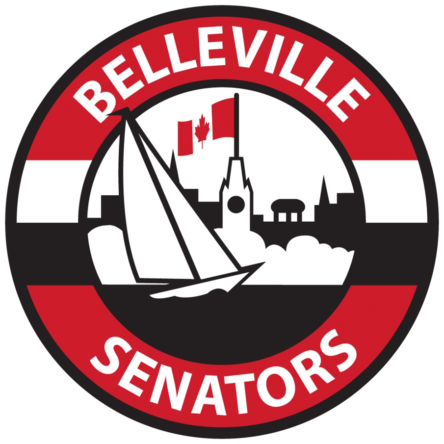 Belleville Senators 2018-Pres Alternate Logo iron on heat transfer